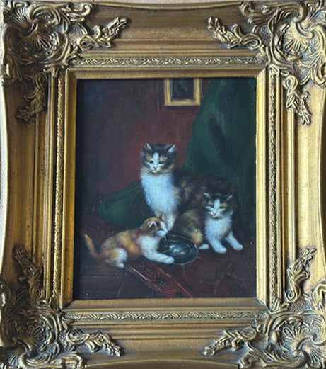 Bucci - Gatos
