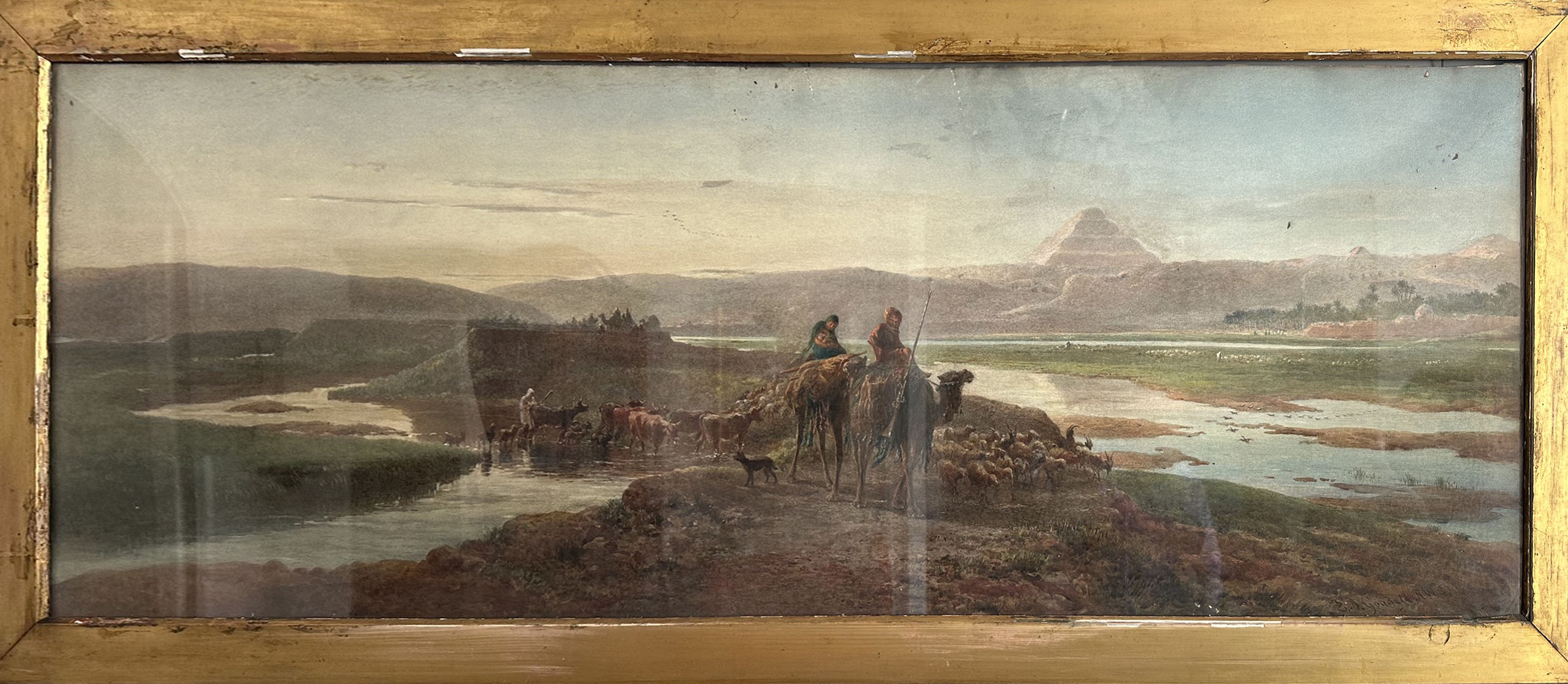 Goodall - Paesaggio