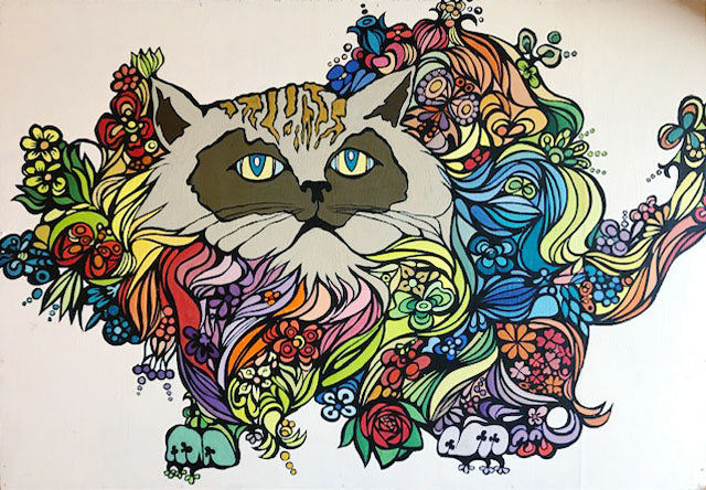 Spadanuda - Gatto
