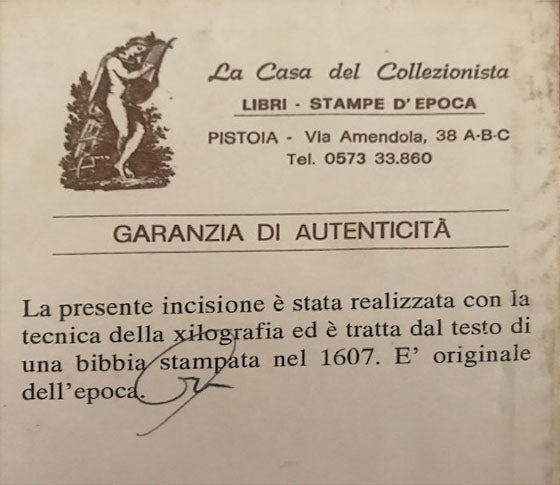 Artista sconosciuto - Senza titolo