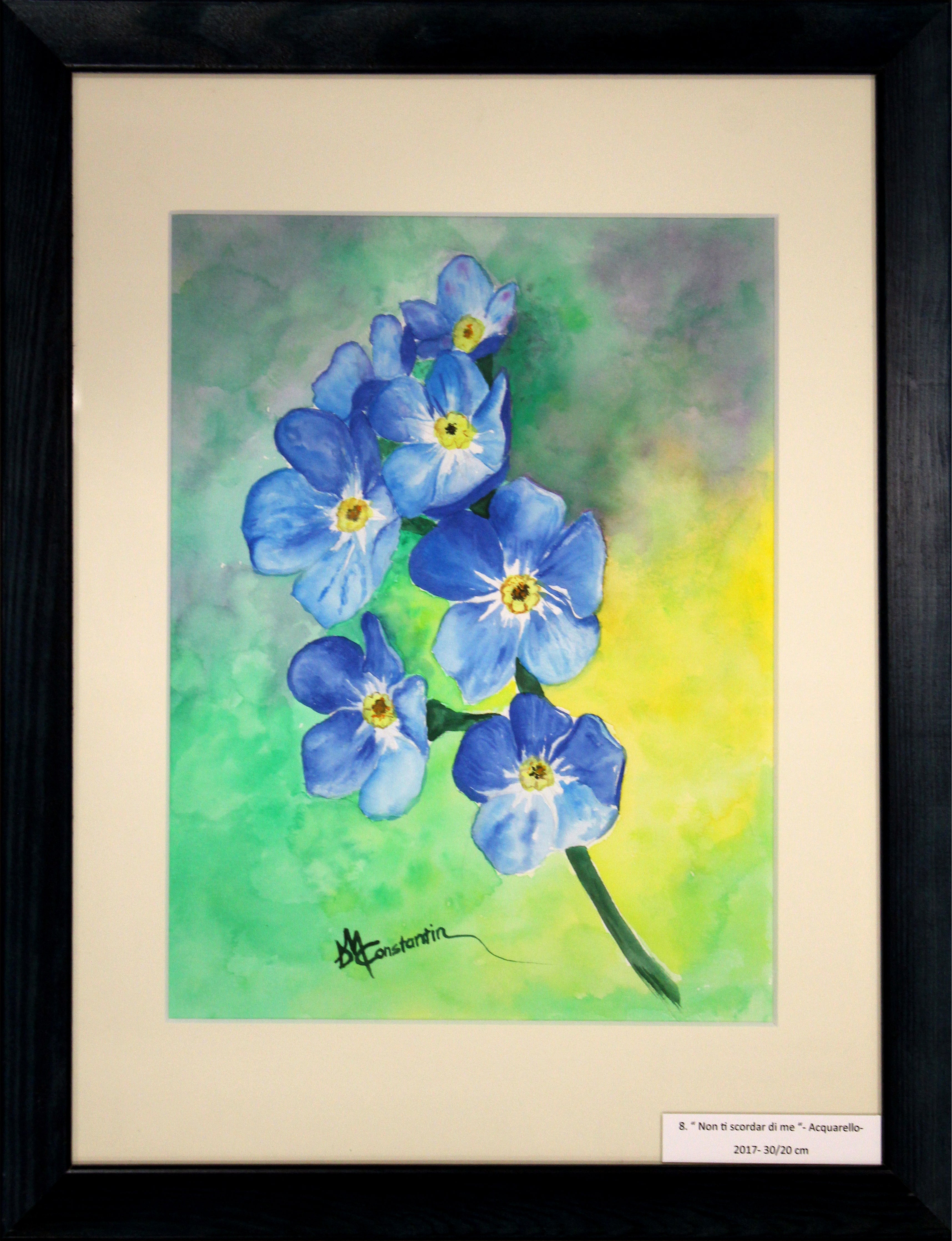 Doina Maria Constantin - Non ti scordar di me