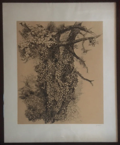 Renato Guttuso - Árbol