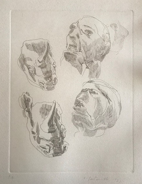 Santarelli - Rinoceronti e volti