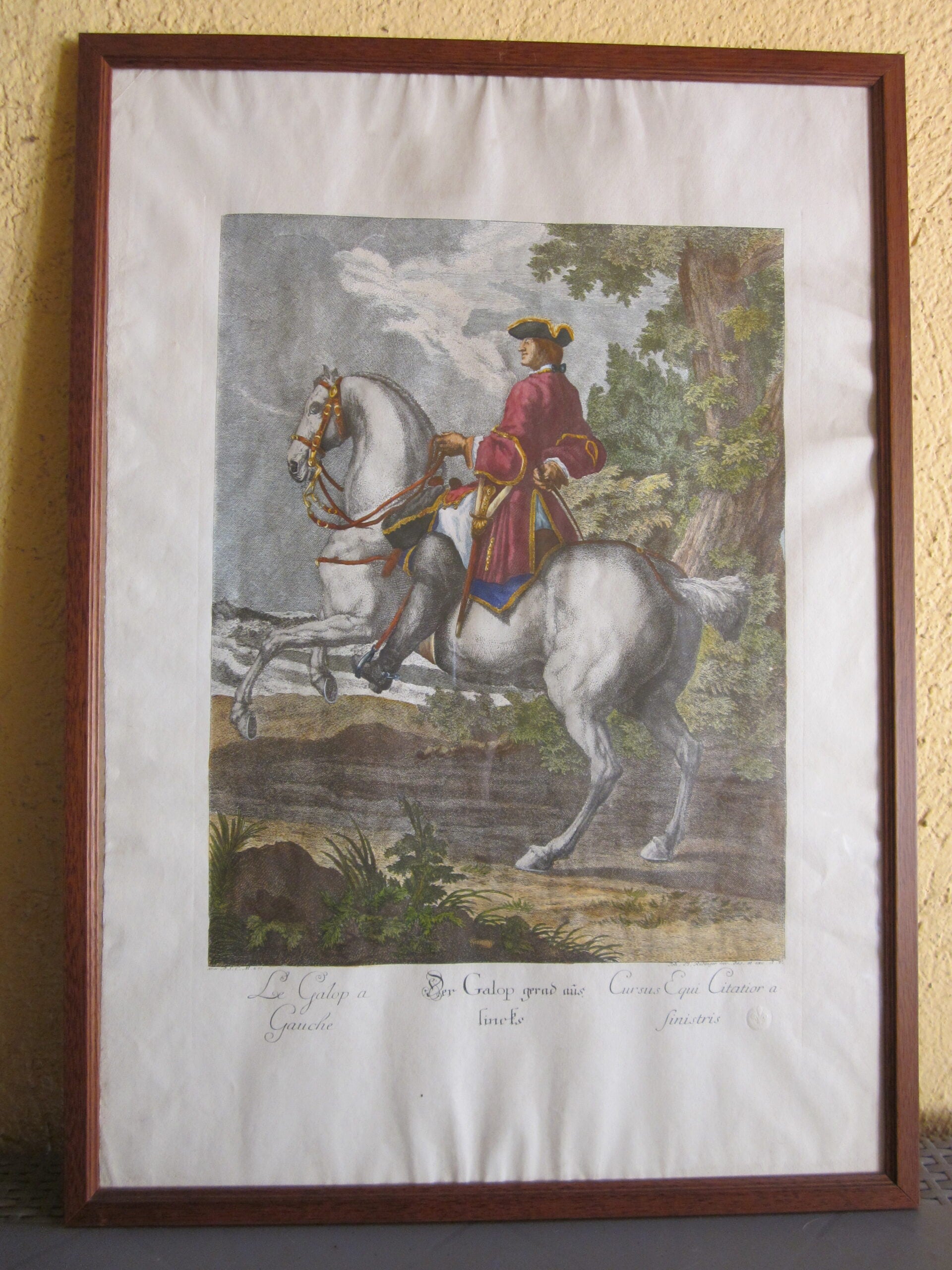 Johann Elias Ridinger - Serie di 18 incisioni - MGOM001