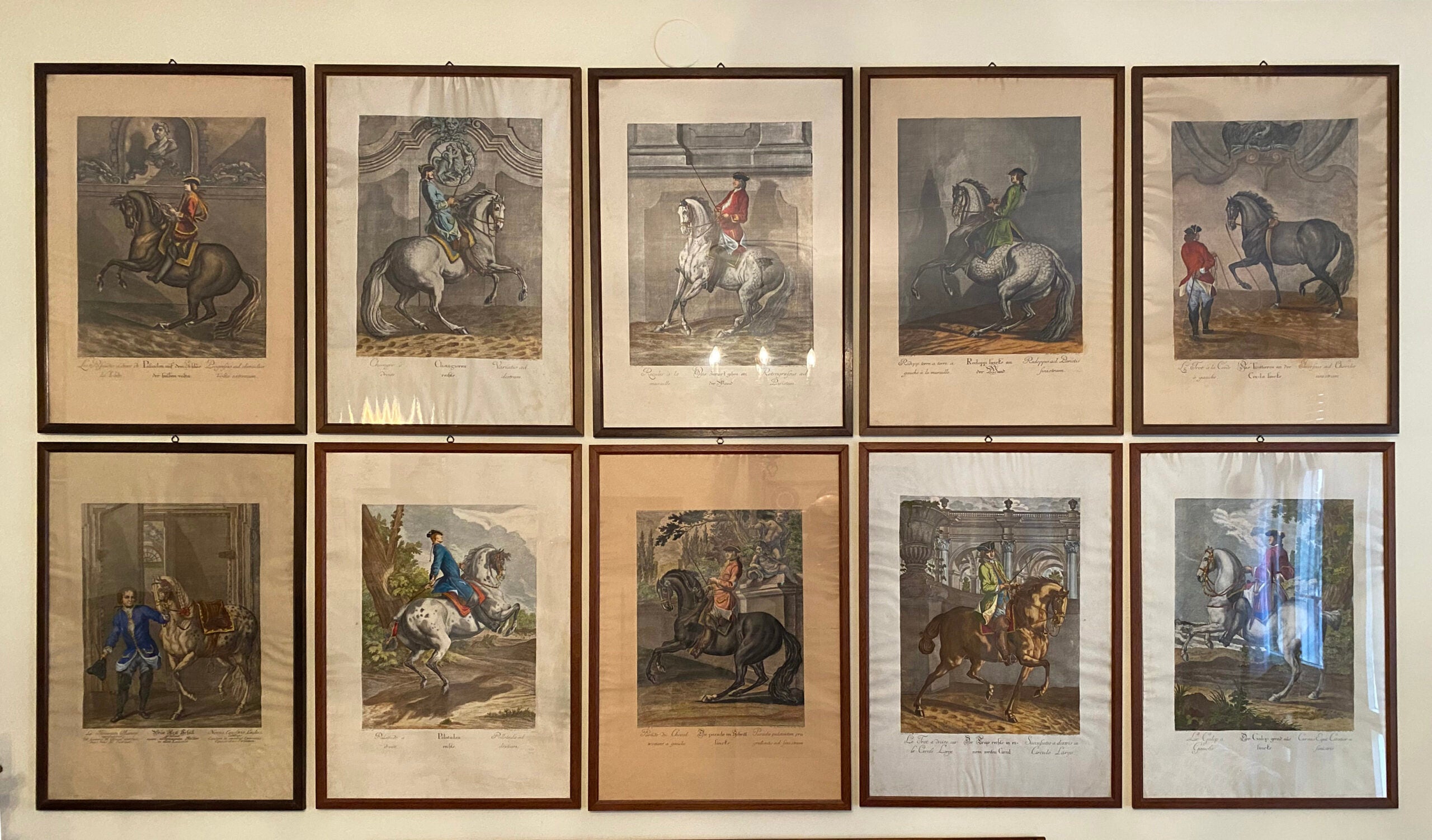 Johann Elias Ridinger - Serie di 18 incisioni - MGOM001