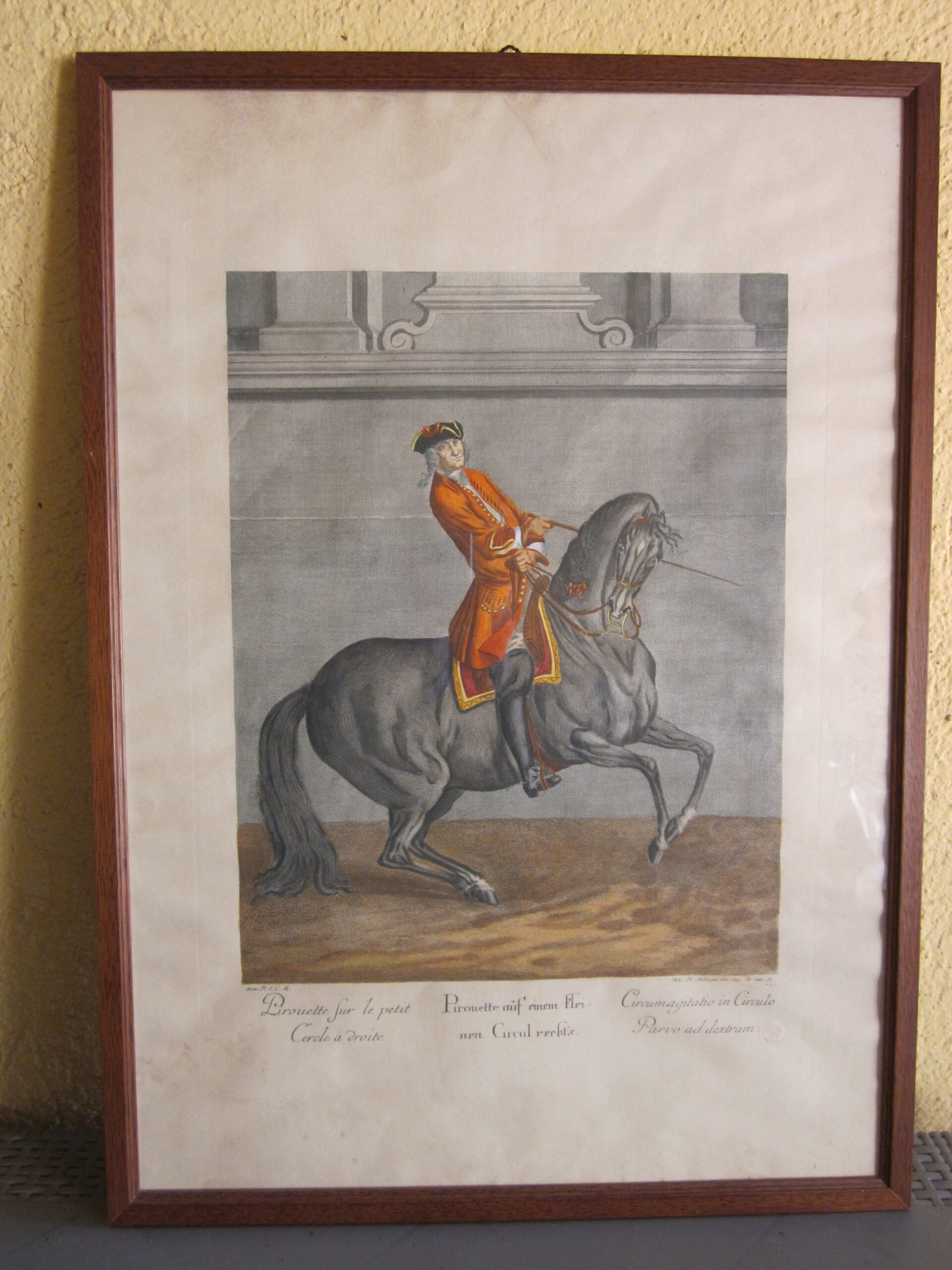 Johann Elias Ridinger - Serie di 18 incisioni - MGOM001