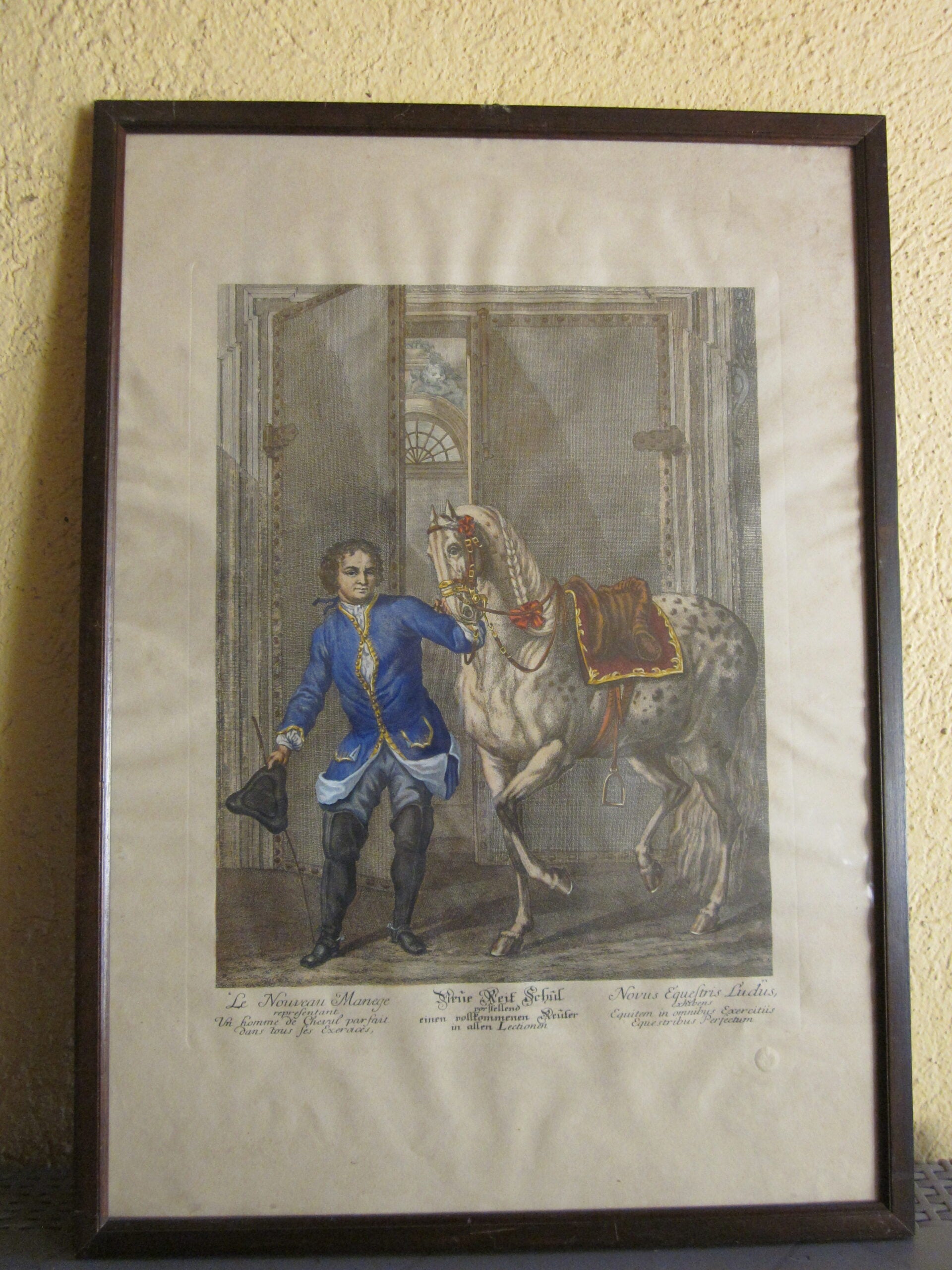 Johann Elias Ridinger - Serie di 18 incisioni - MGOM001