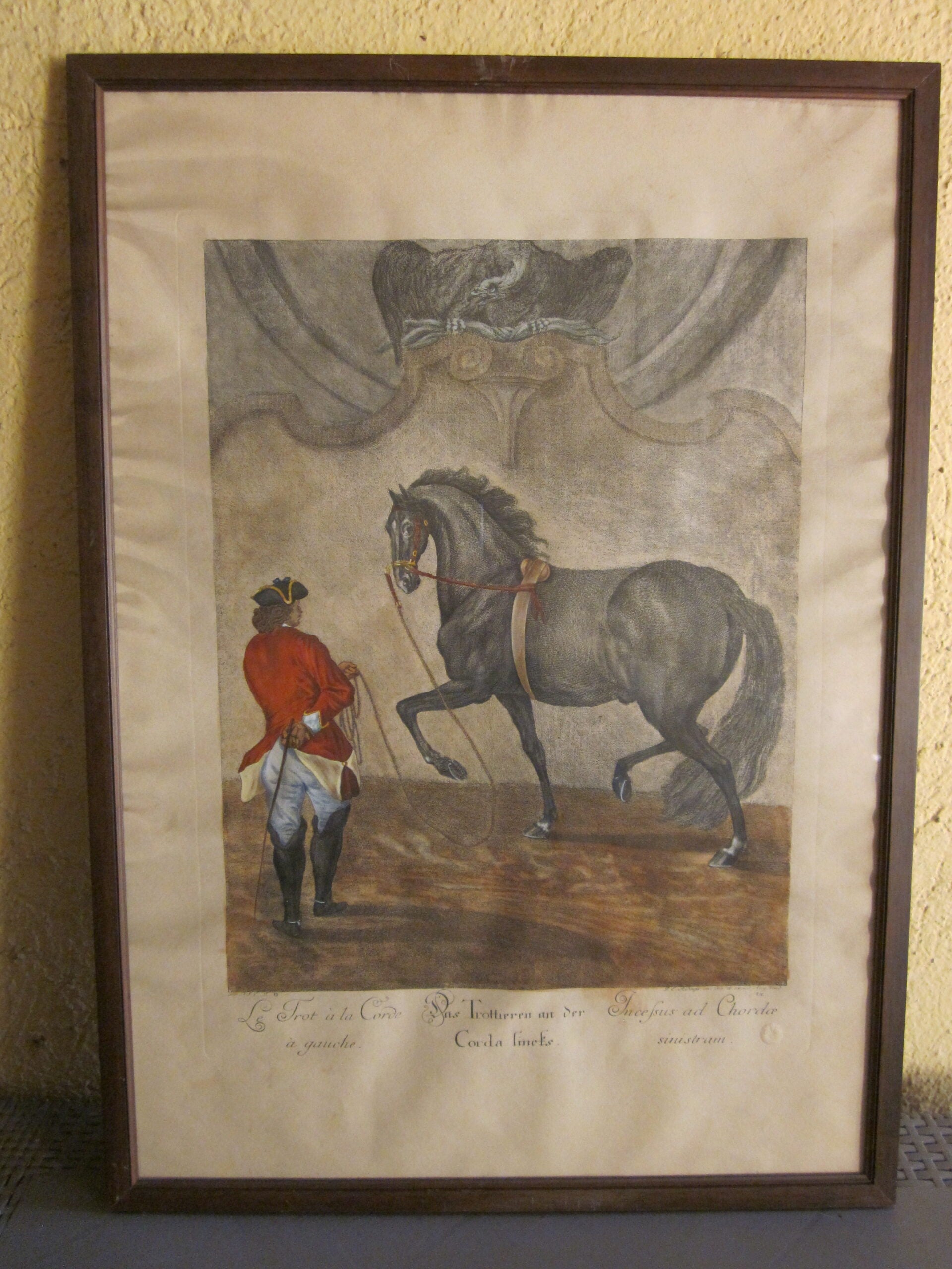 Johann Elias Ridinger - Serie di 18 incisioni - MGOM001