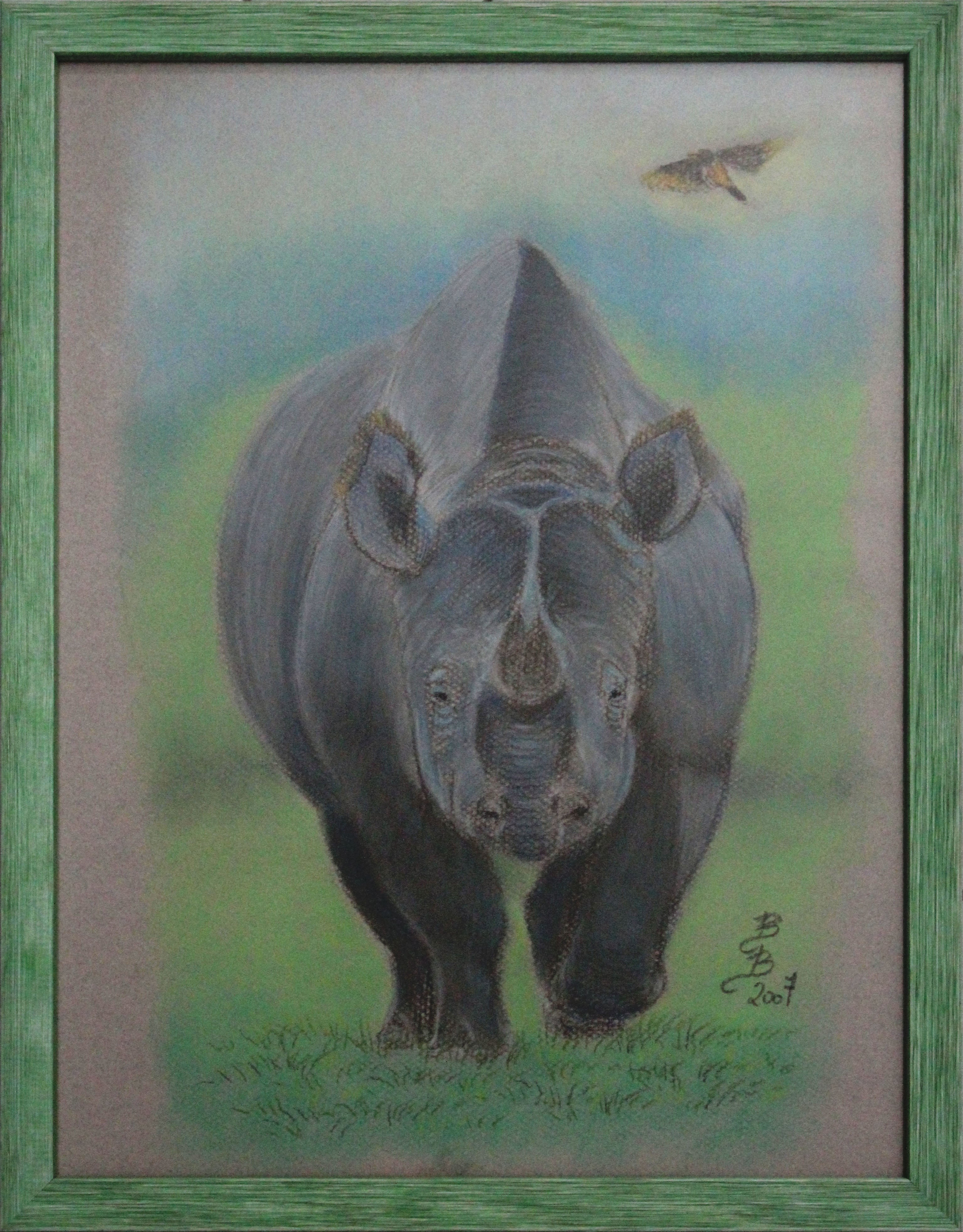 Barbara Borsatti - Rinoceronte