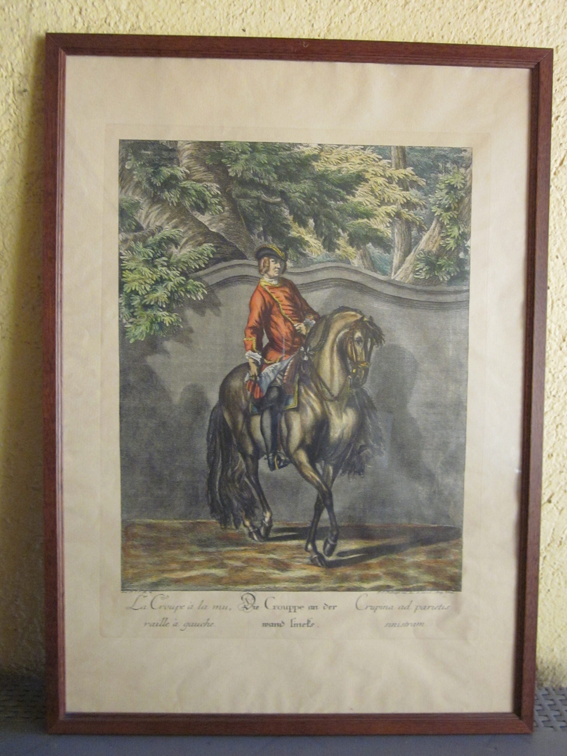 Johann Elias Ridinger - Serie di 18 incisioni - MGOM001