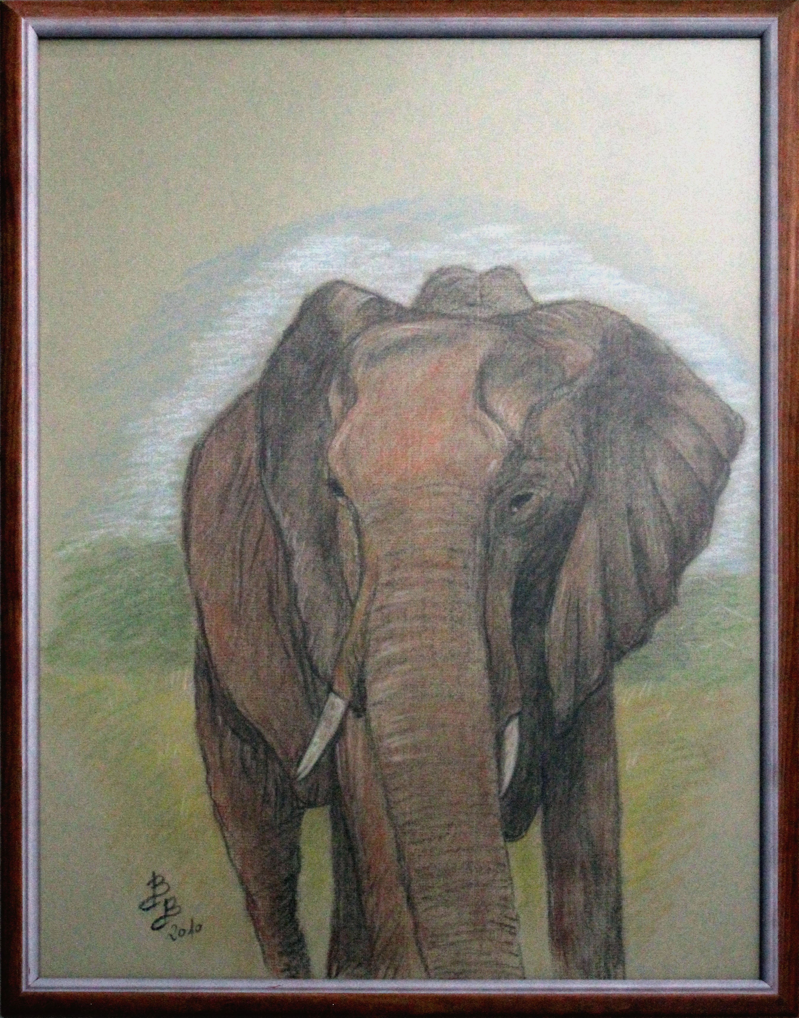 Barbara Borsatti - Elefante