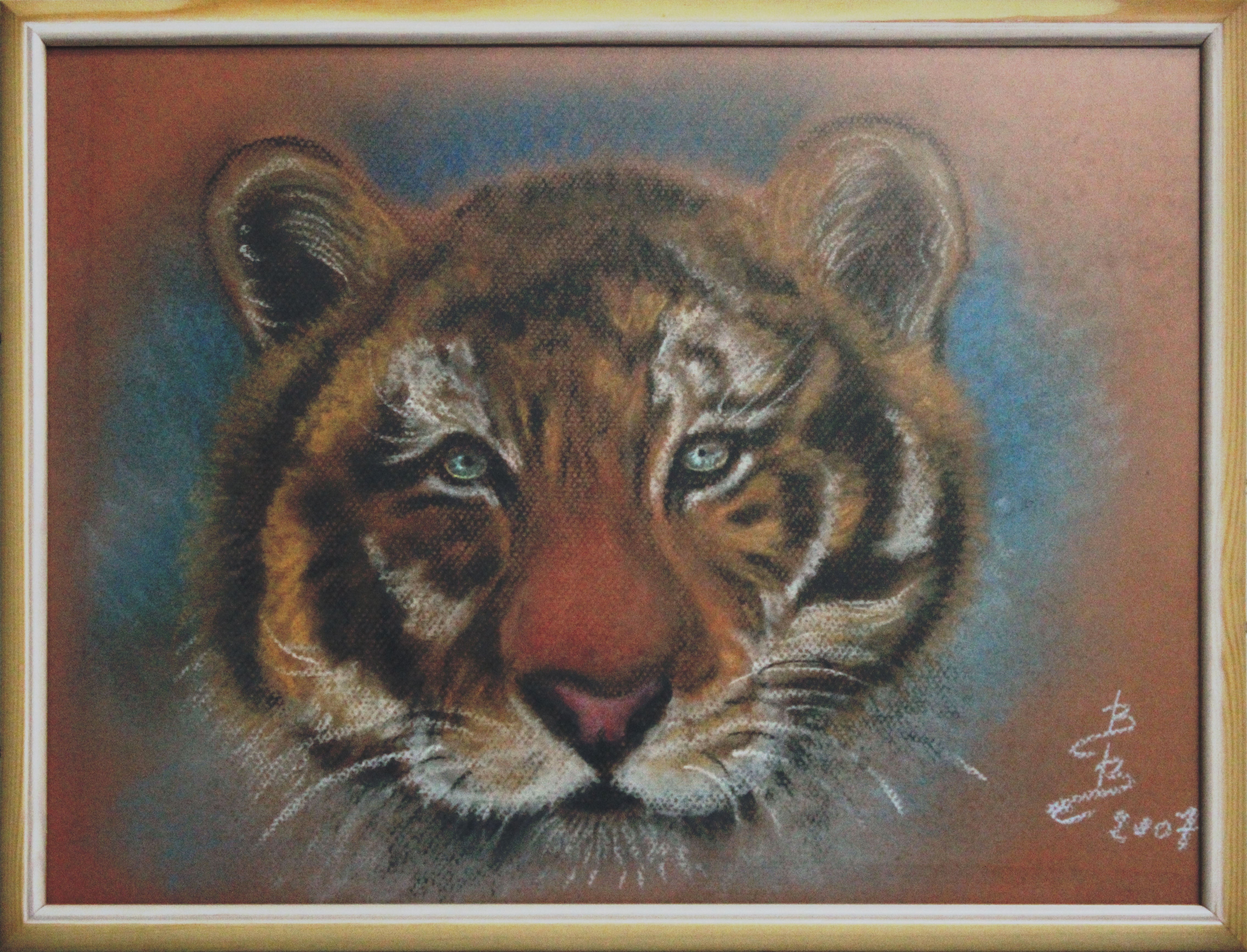 Barbara Borsatti - Sguardo di tigre