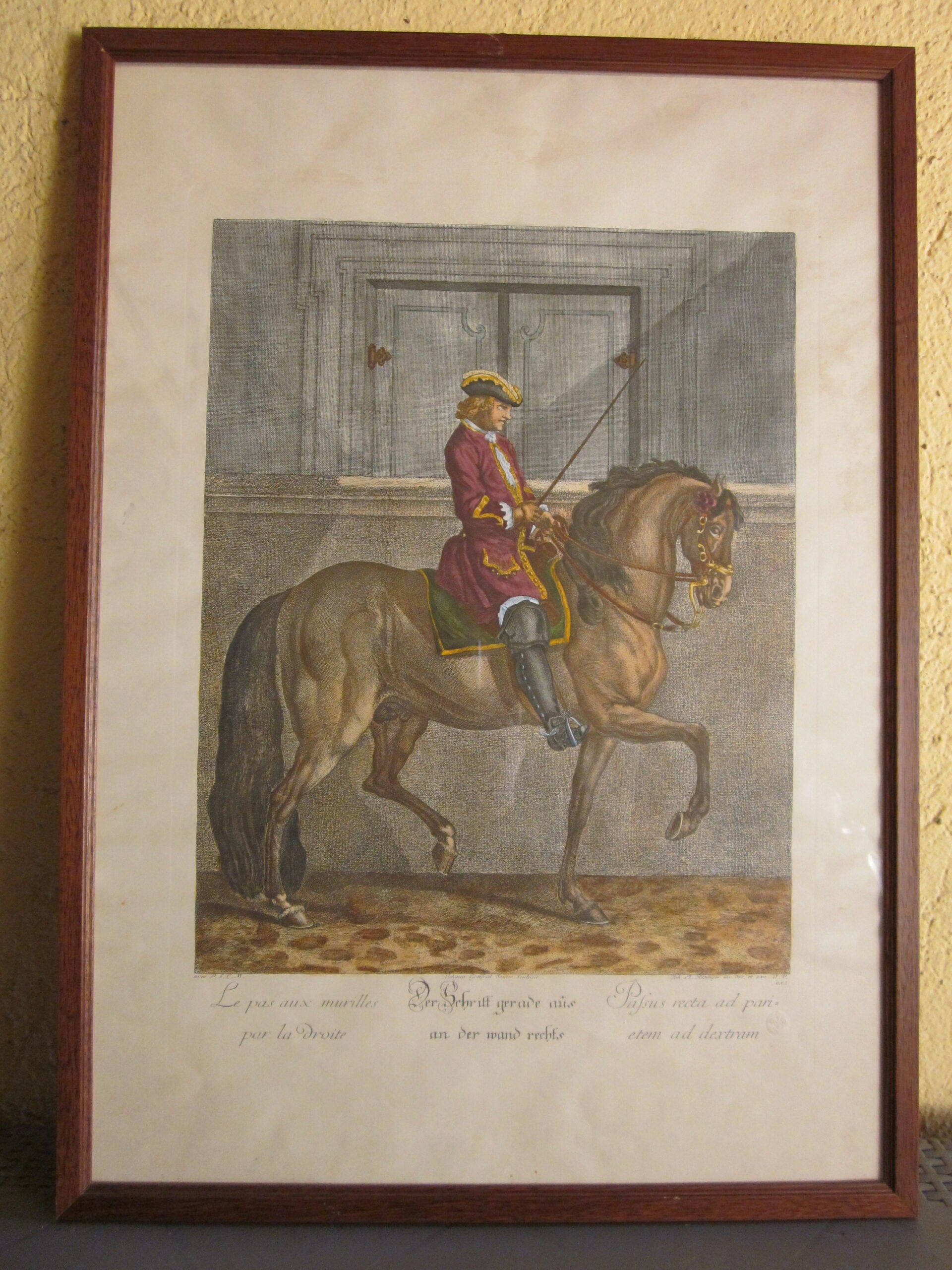 Johann Elias Ridinger - Serie di 18 incisioni - MGOM001