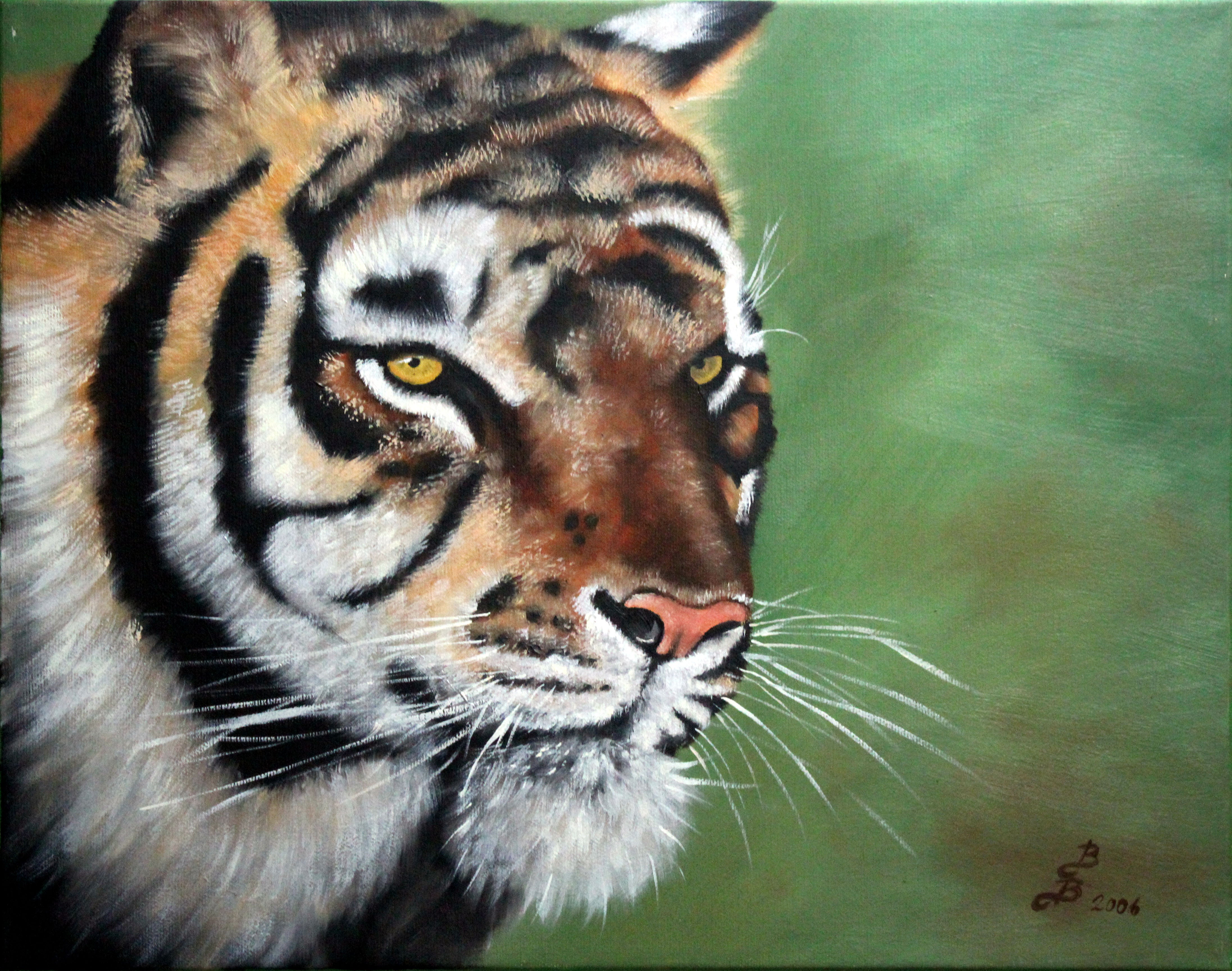 Barbara Borsatti - Tigre arrabbiata