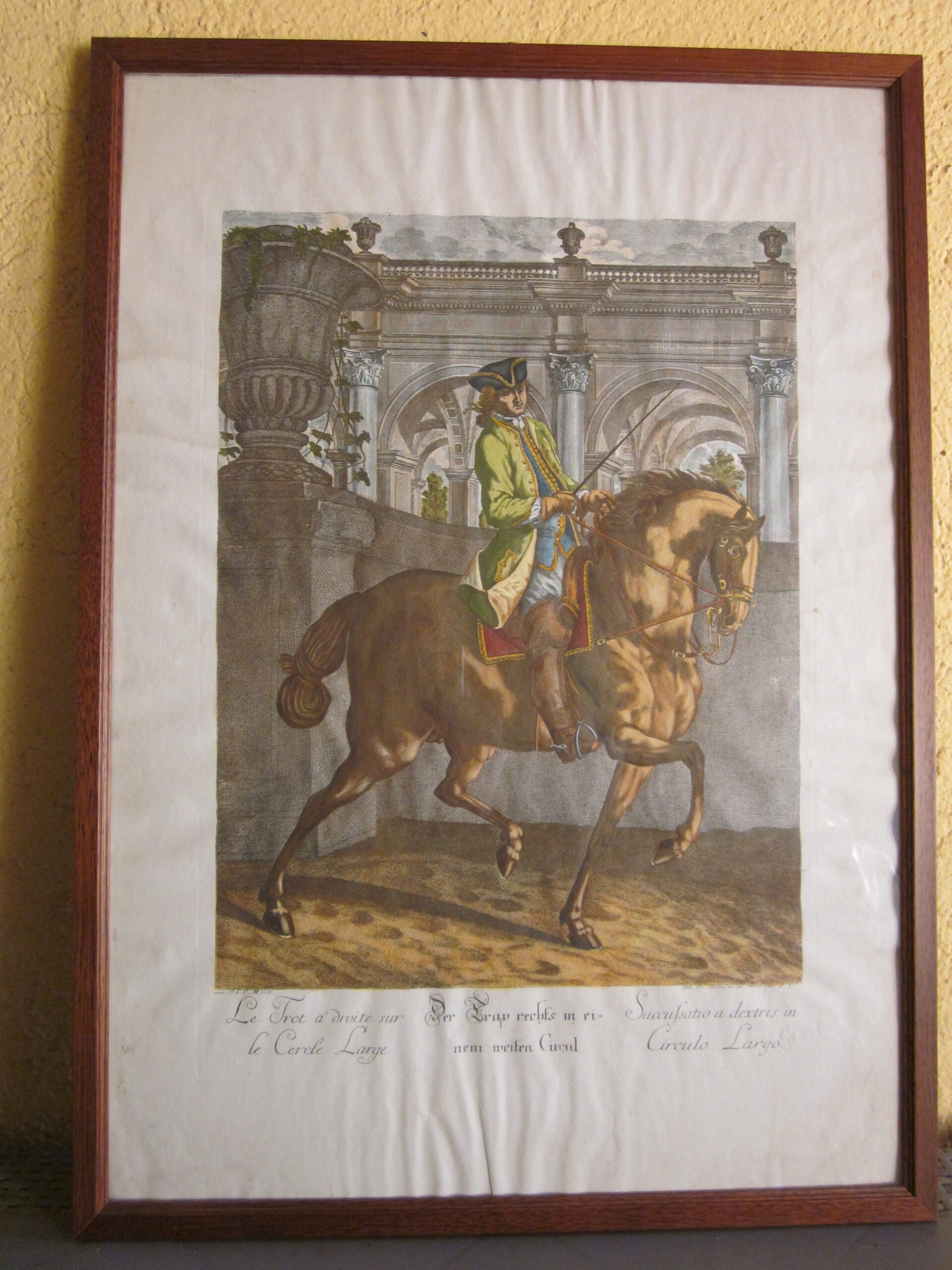 Johann Elias Ridinger - Serie di 18 incisioni - MGOM001