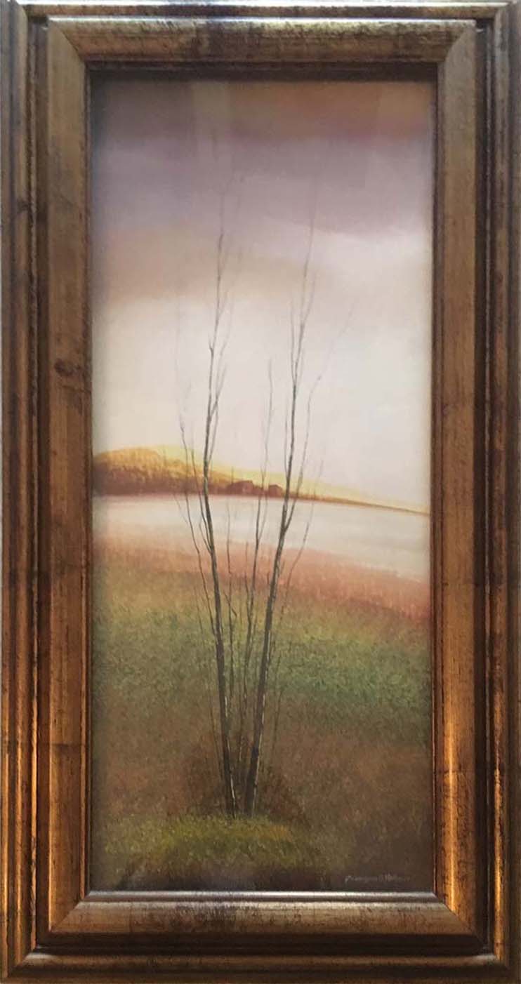 Giampaolo Vannucci - Campagna toscana