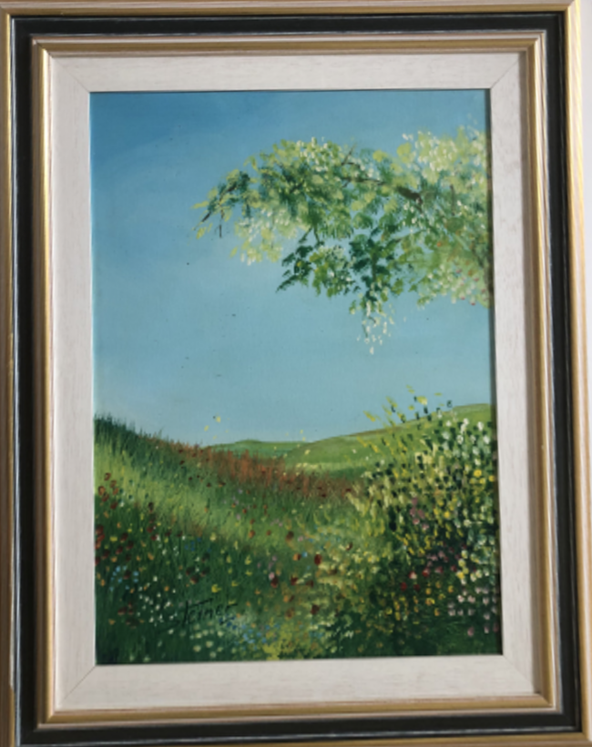Steiner - Collina fiorita