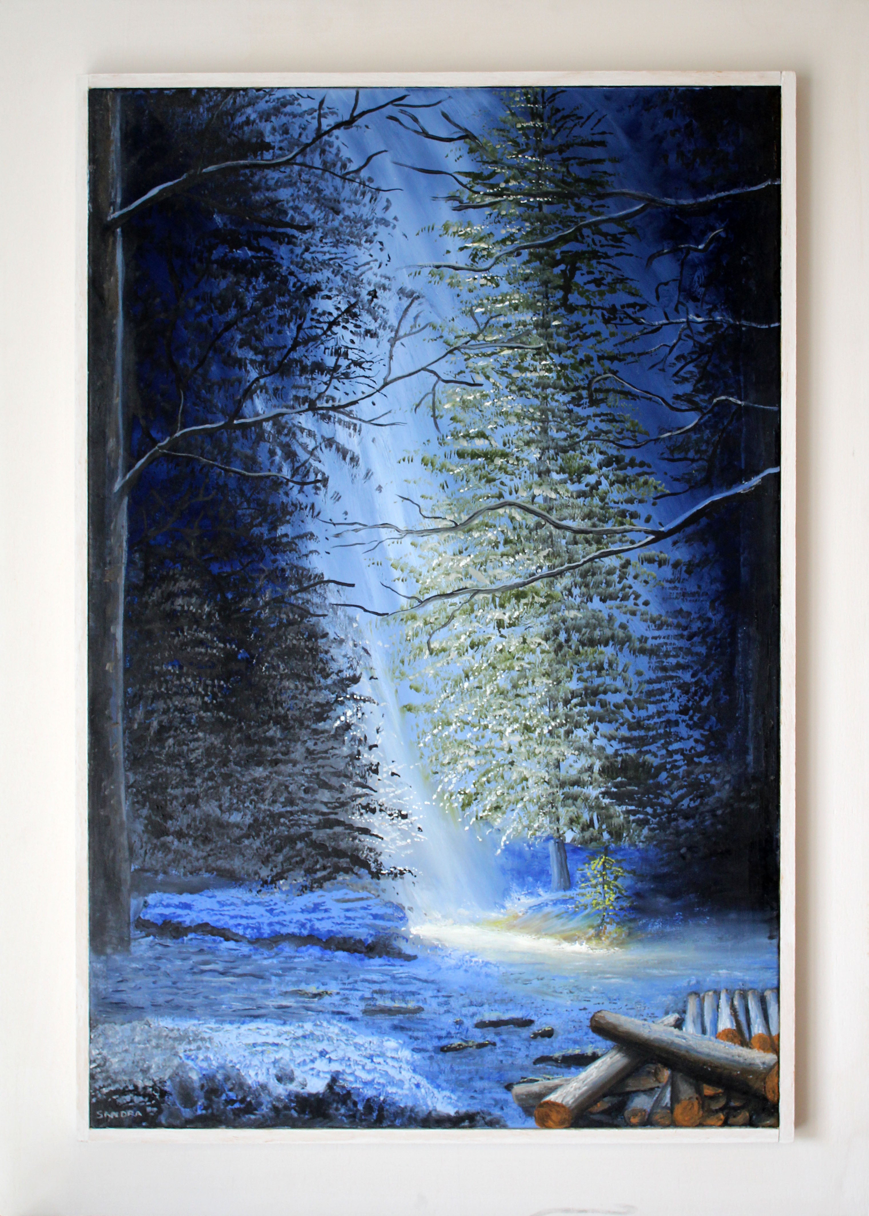 Sandra Spolaore - Luce d'inverno
