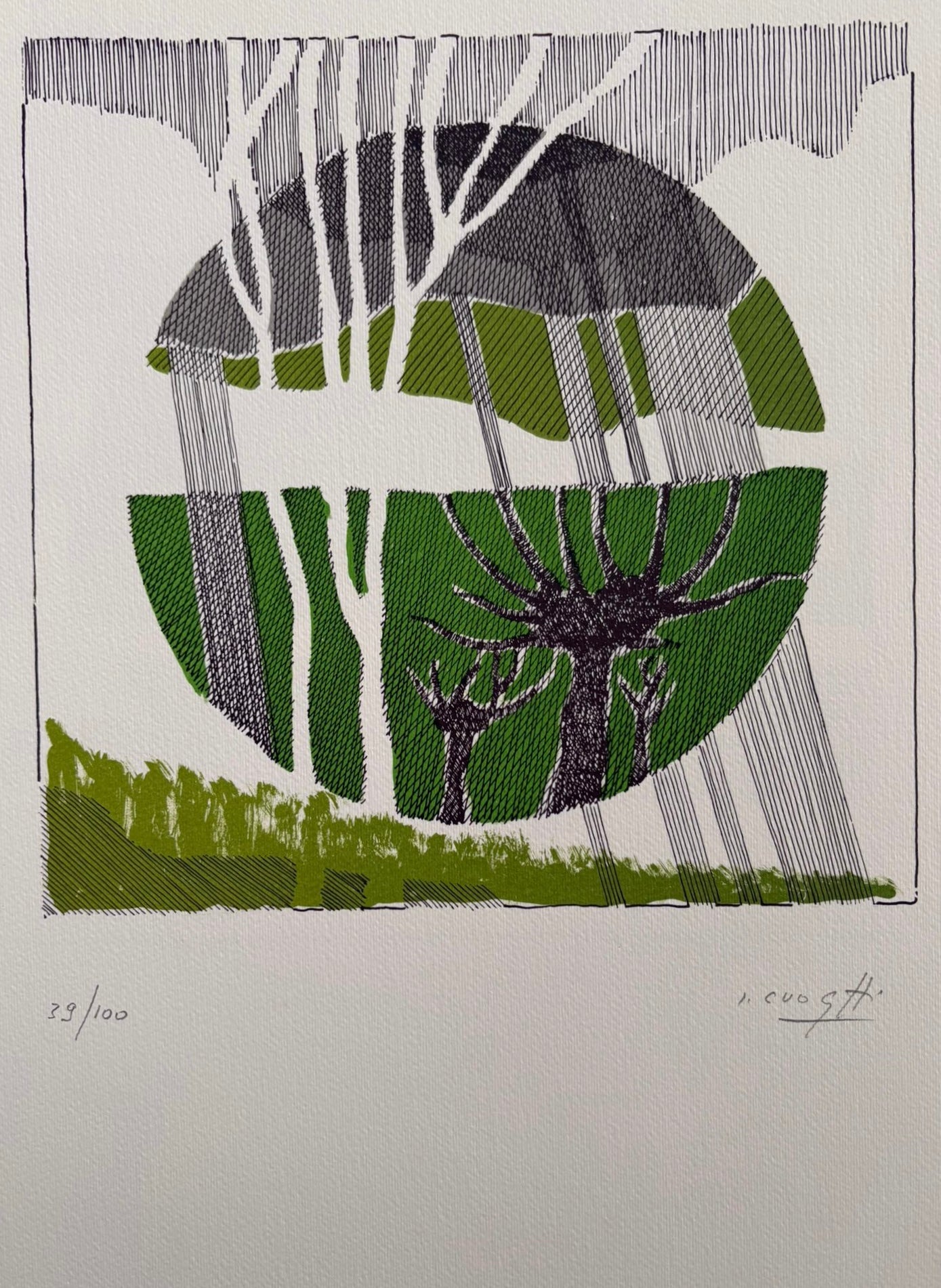 Ilario Cuoghi - Le stagioni