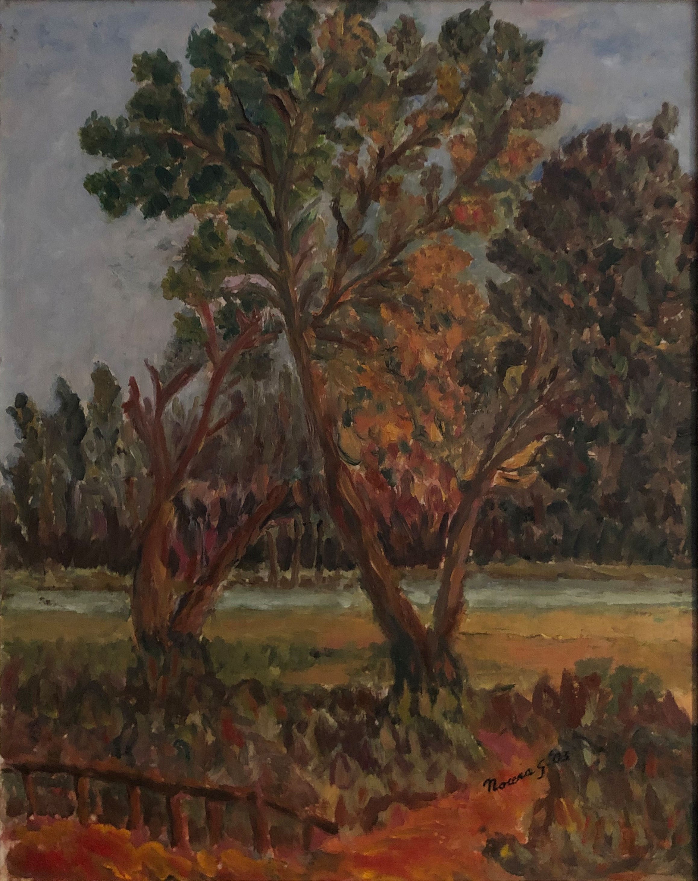 Giacoma Nocera - La quercia