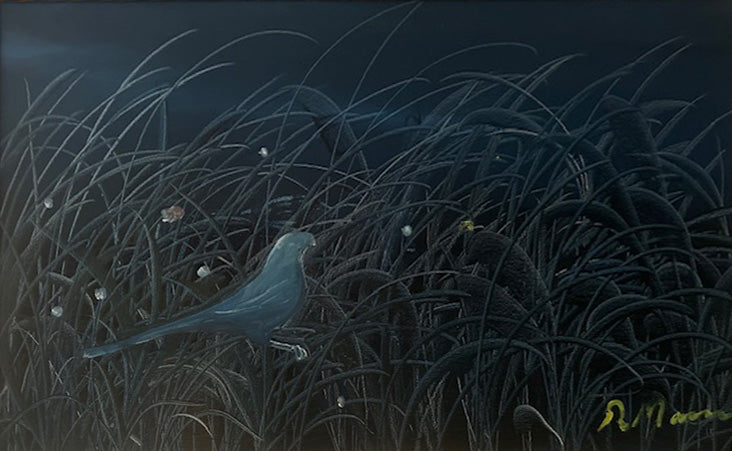 Raul Marin - Canaverales de noche