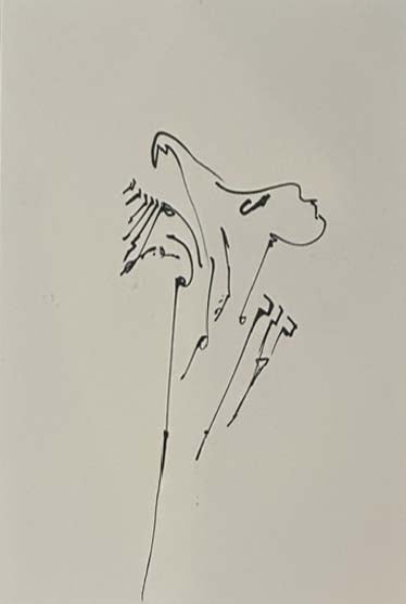 Senza titolo - Disegno - Bassiri