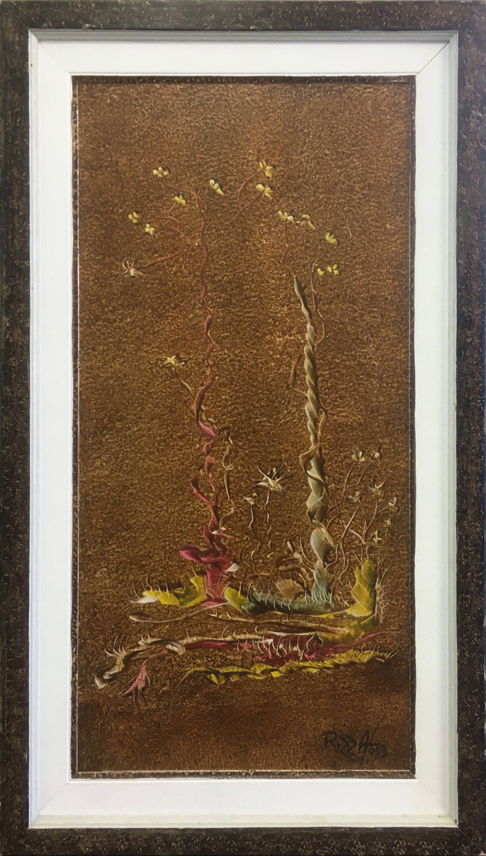 Vincenzo Rizza - Contorsioni
