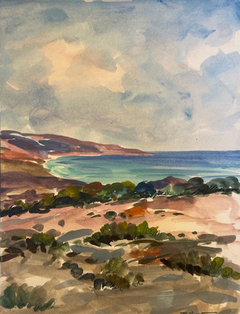 F. Vassetti - Corsica: La Punta di Porto Pollo