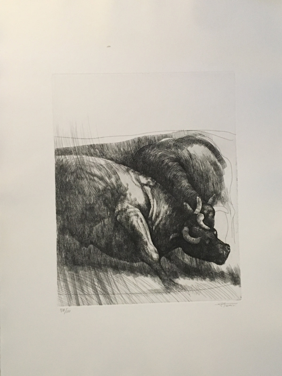 Collection - Five Artists for Gualdo