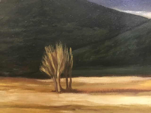 Nicola Capasso - Trees