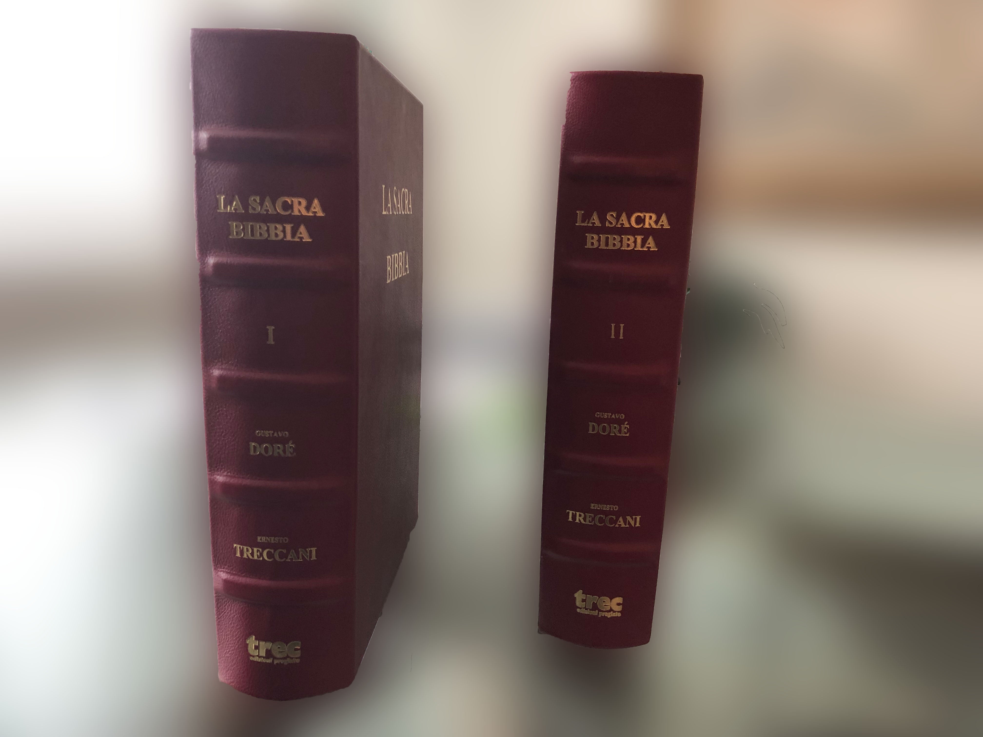 La sacra Bibbia di Dorè - Trec