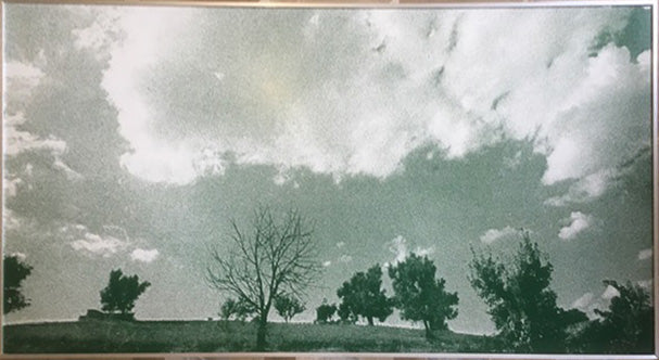 Franco Fontana - Nature