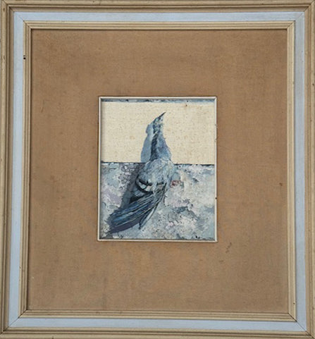 Leo Pellicanò - ll colombo