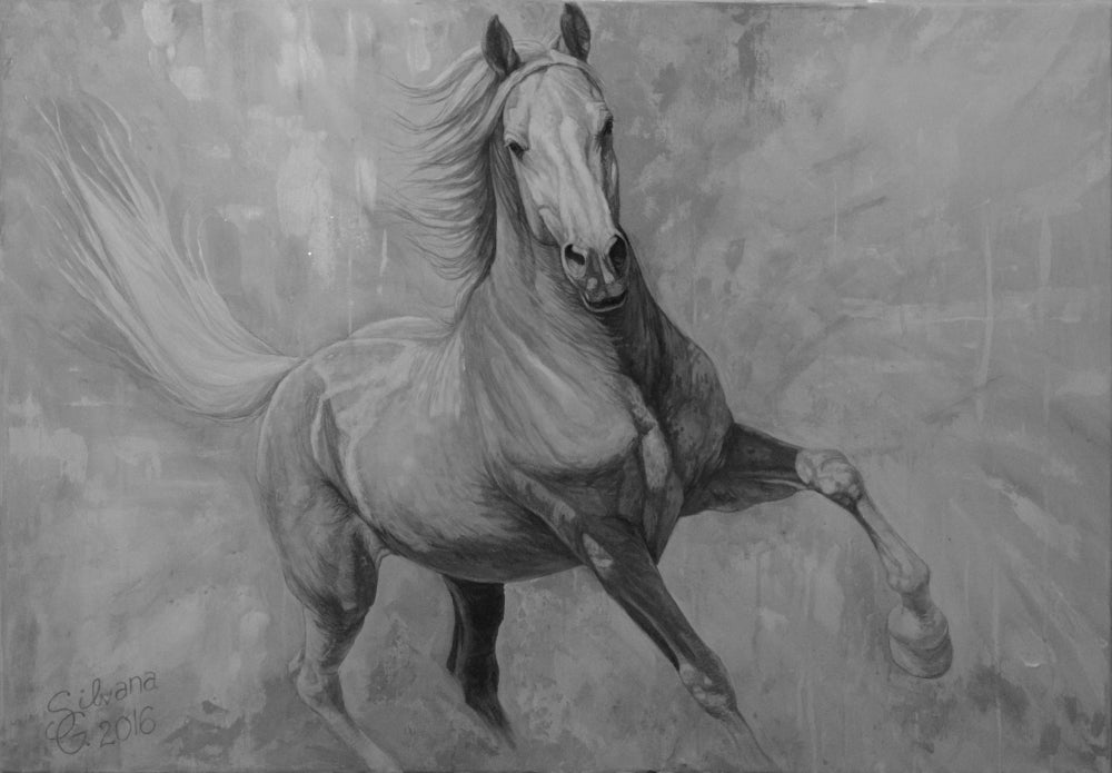 Silvana Gabudean - Il volo