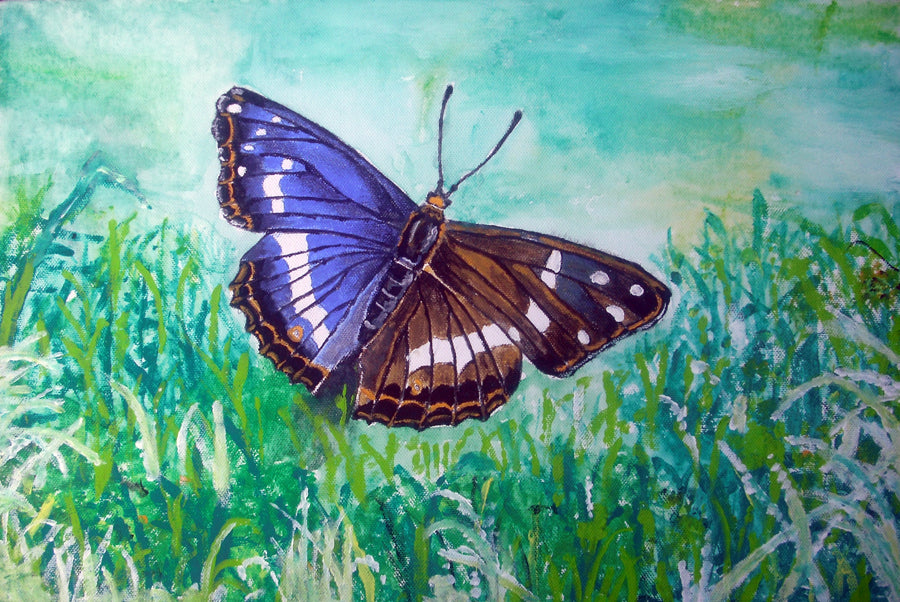 Ivo Pillai - Farfalla