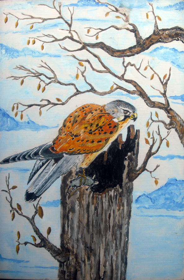 Ivo Pillai - Il Gheppio