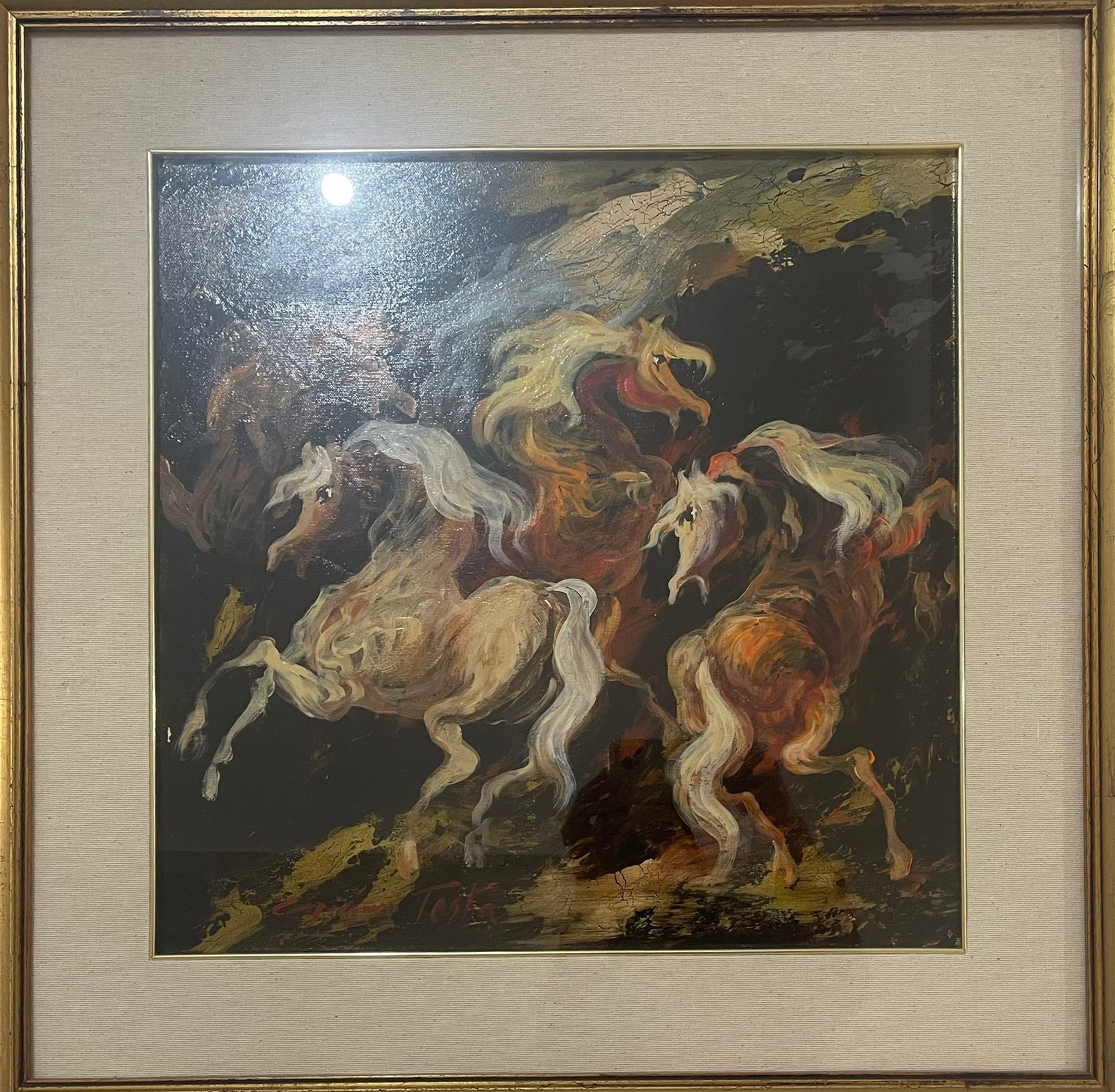 Gianni Testa - Cavalli