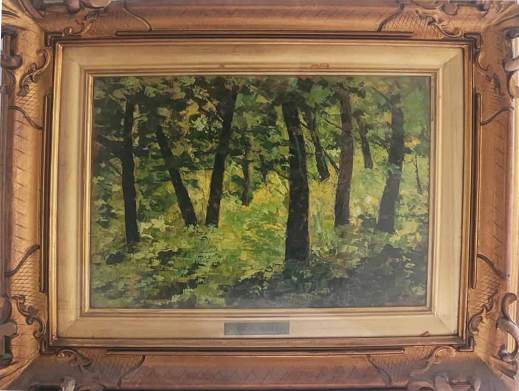 Lucio Molli - Undergrowth