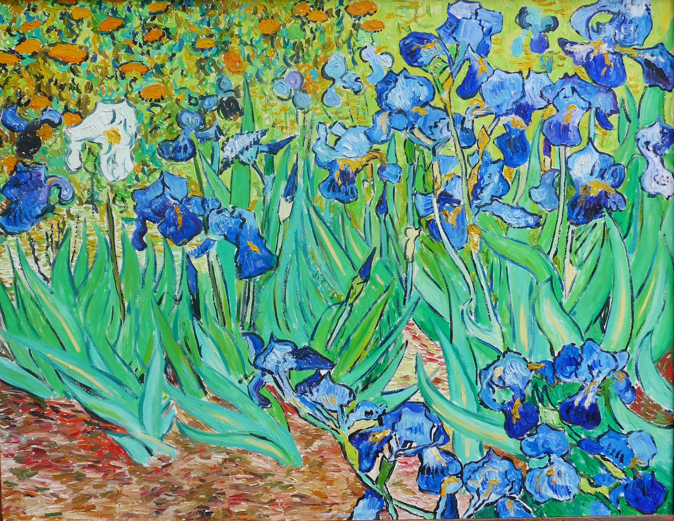Paolo Costagli - Copia Iris