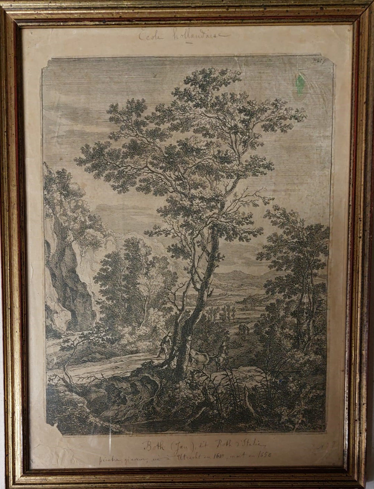 Jan Both - Il grande albero