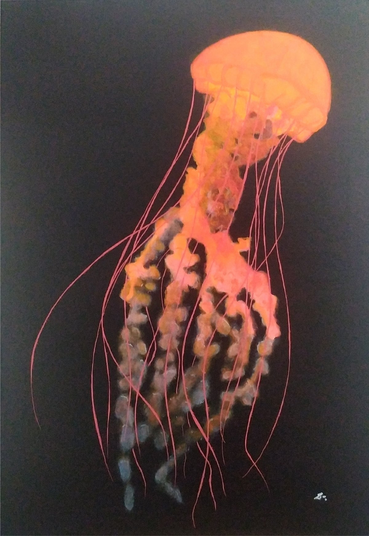 Zeak 31 (Javier Jimeno Serrano) - Jellyfish