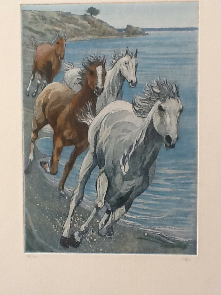 Cavalli in corsa sulla spiaggia