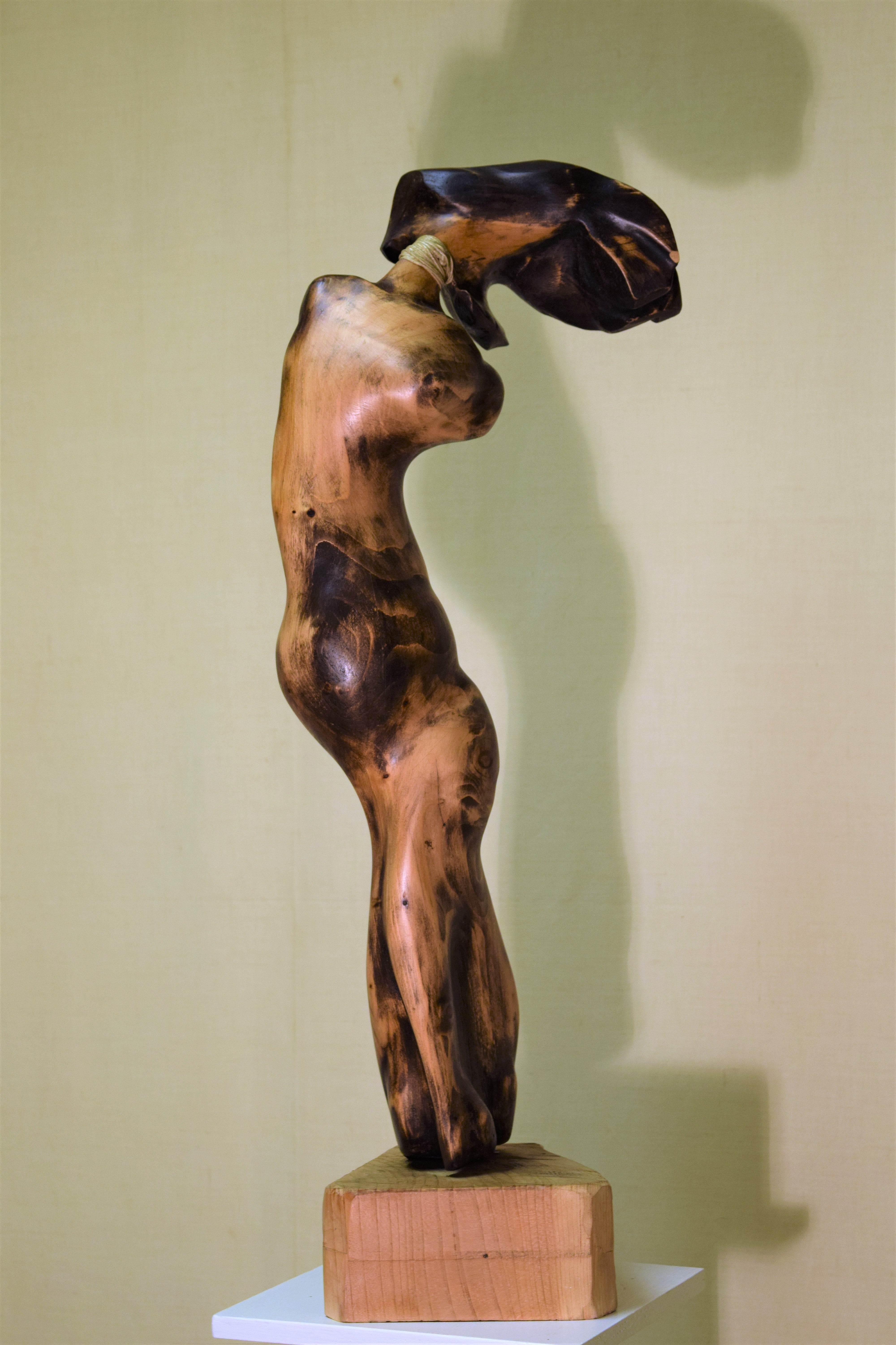 Pierluigi Concheri - Lady g