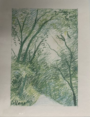 Alberi a pastello su carta di Umberto Lilloni