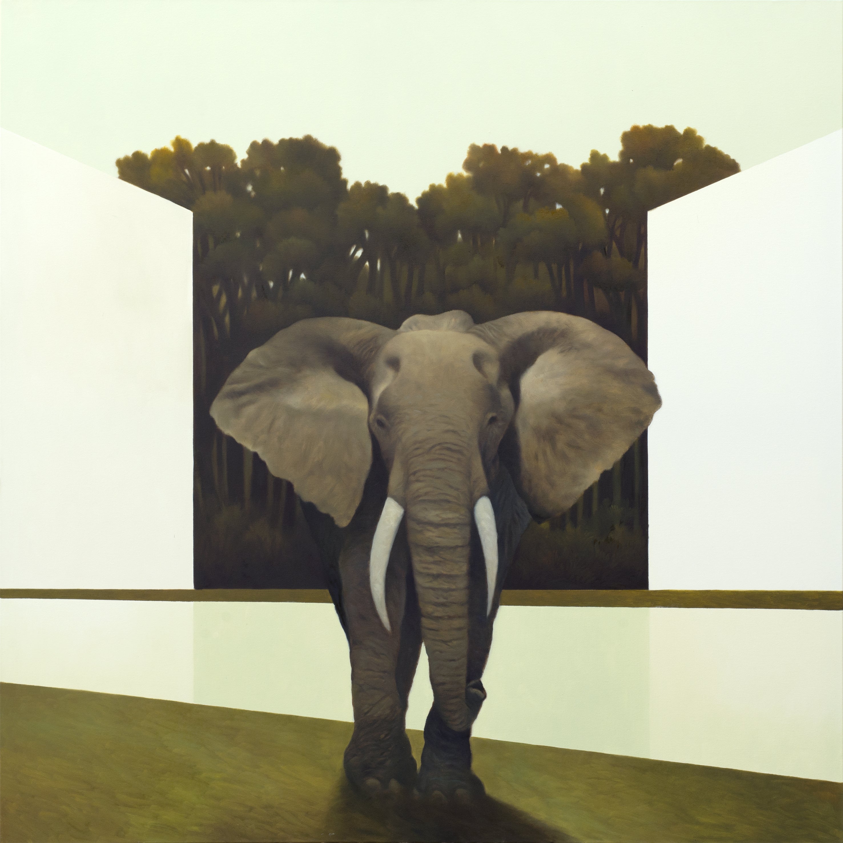 Cesare Reggiani - El bosque revelado