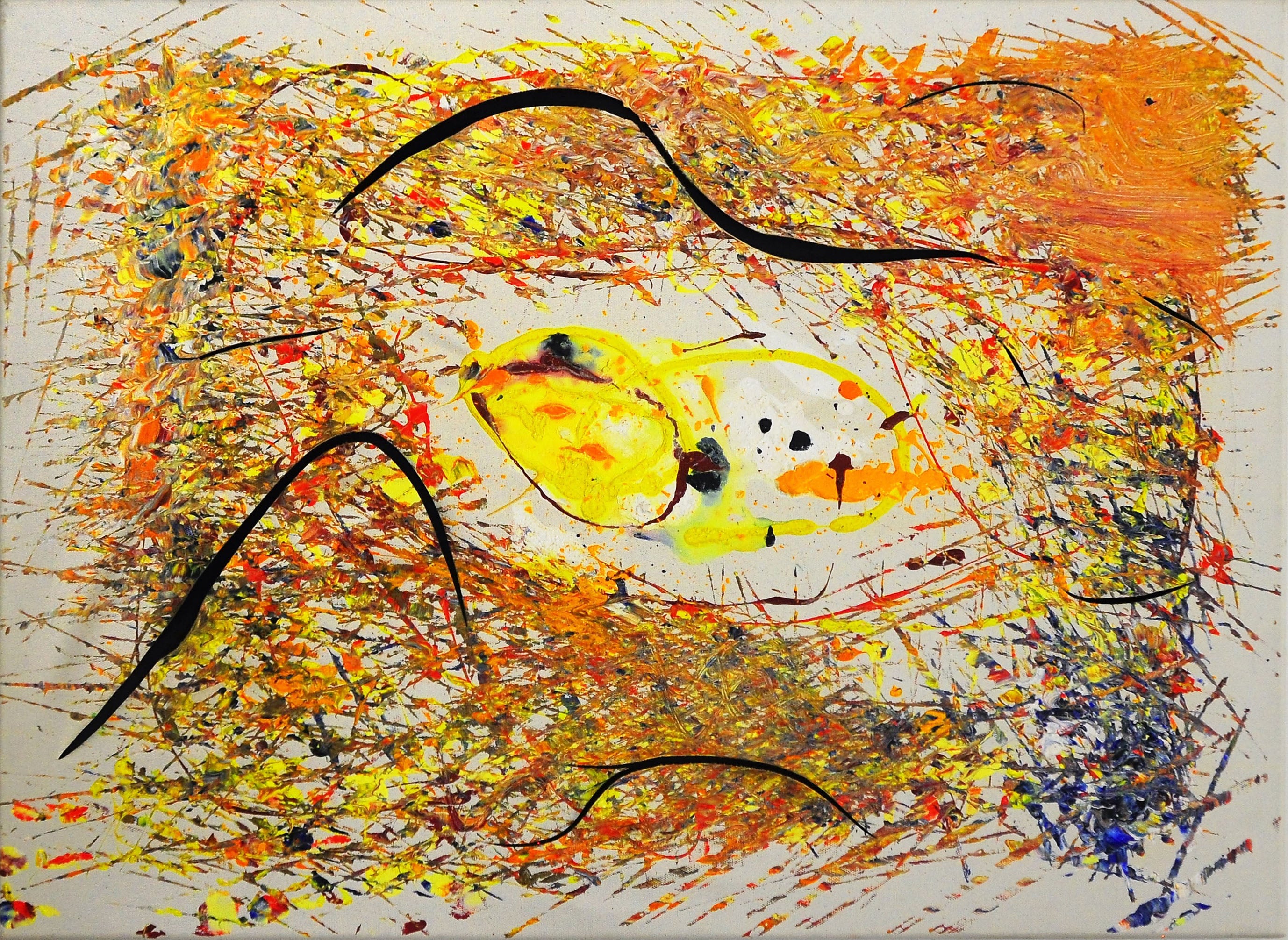 Marco Feci - La nascita