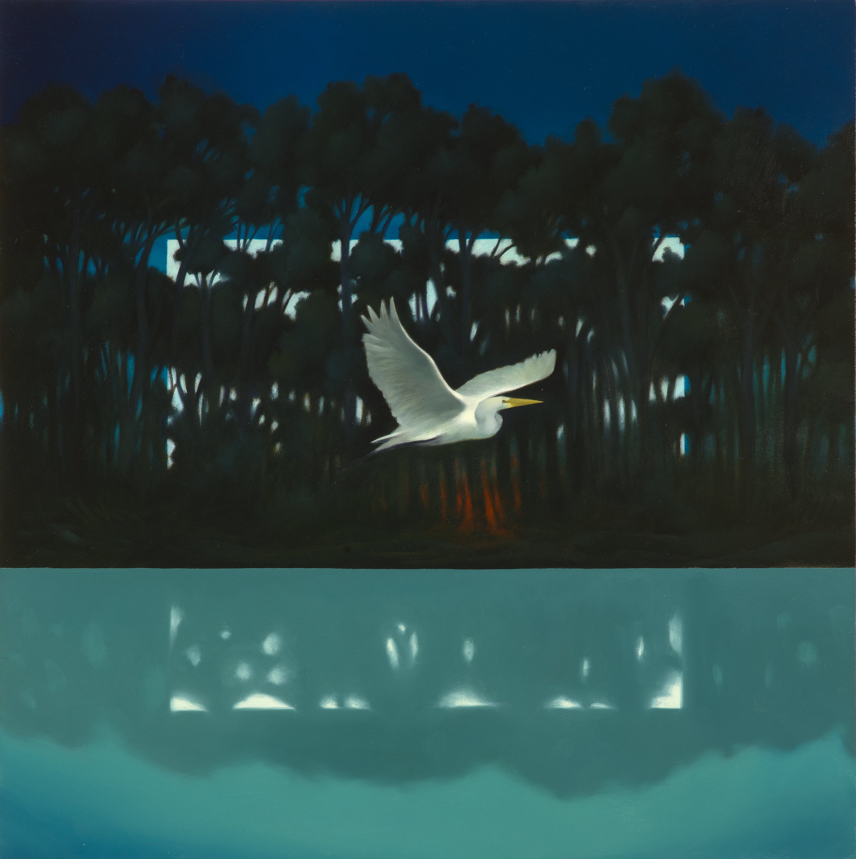 Cesare Reggiani - La noche revelada