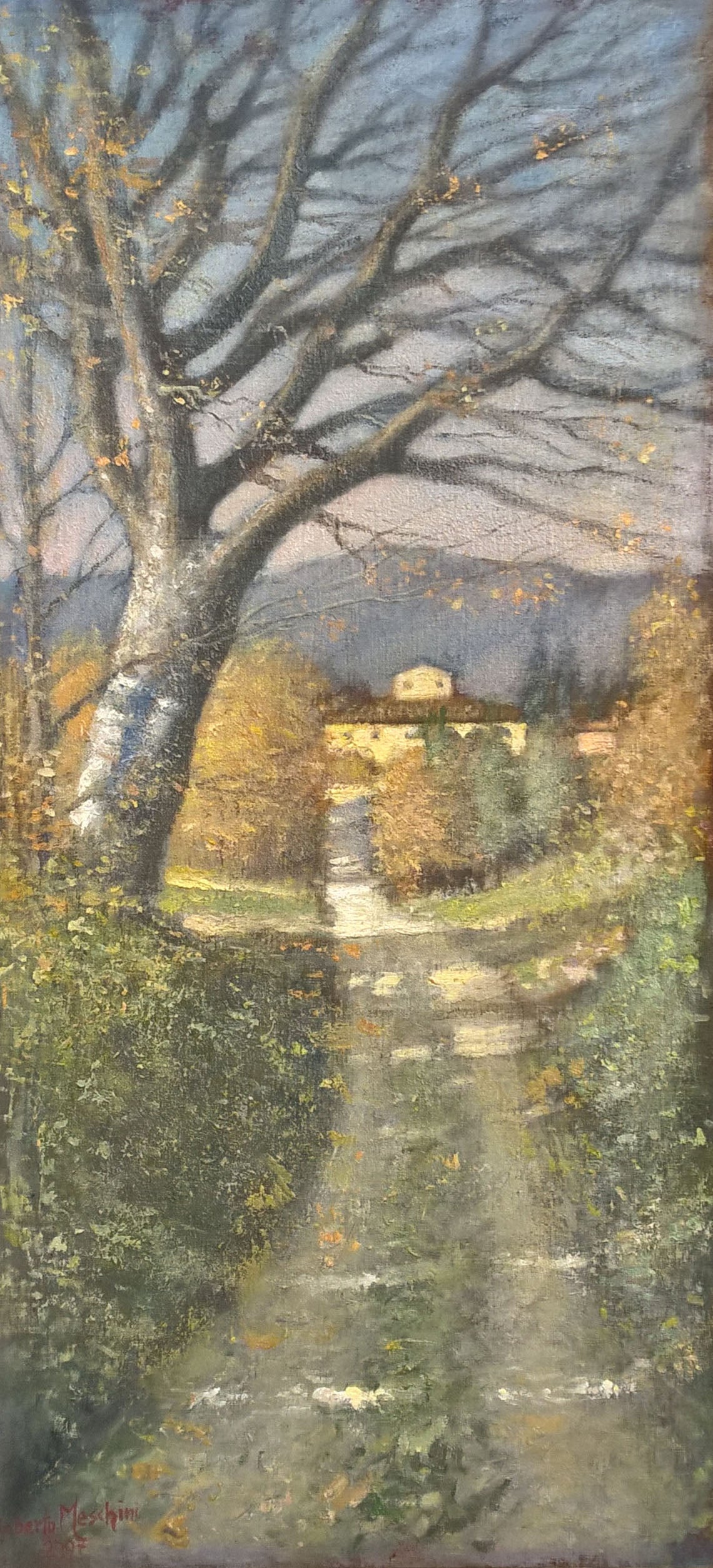 Roberto Meschini - Leopoldina nell'alta  Valle dell'Arno