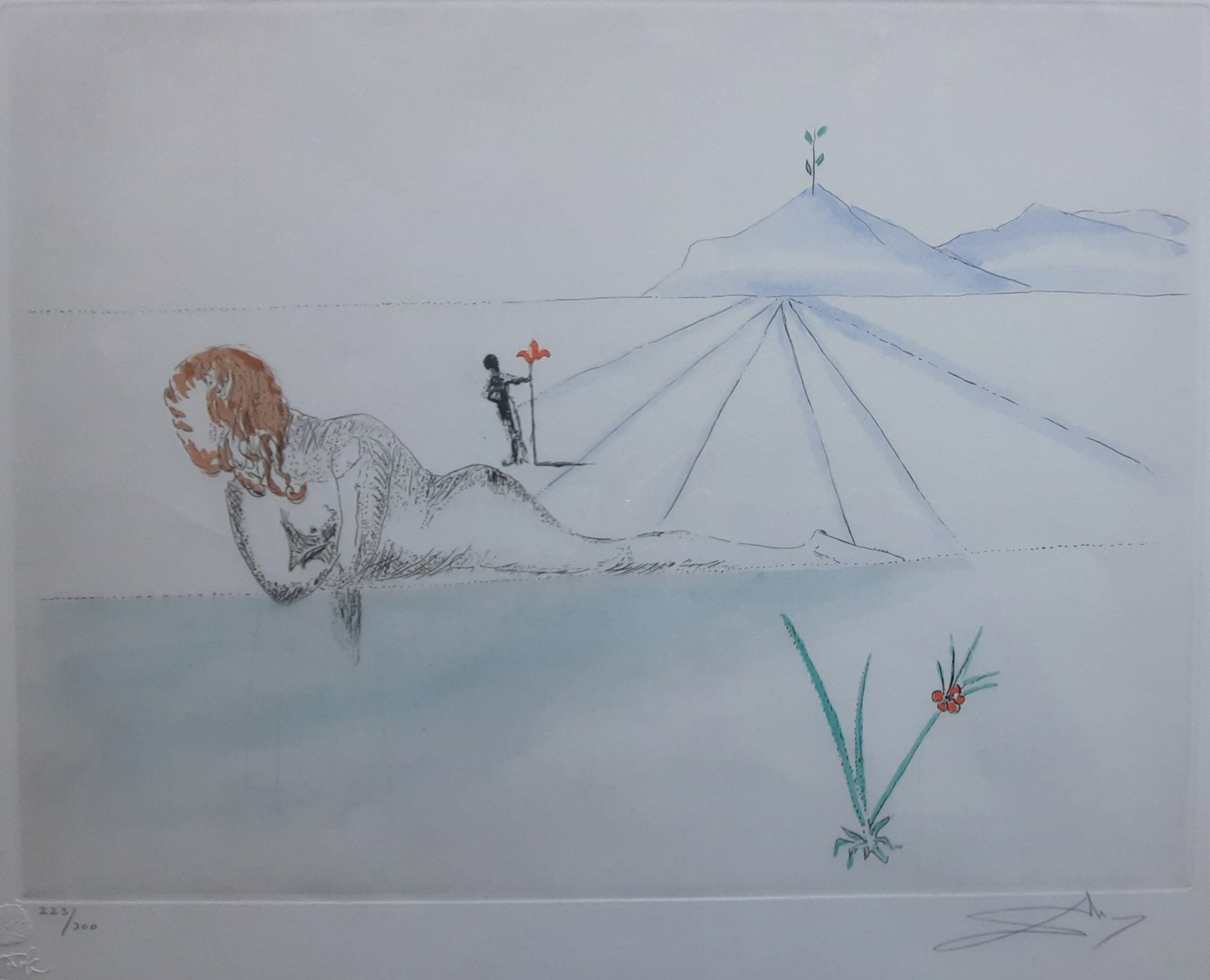 Salvador Dalí - Nu en perspective