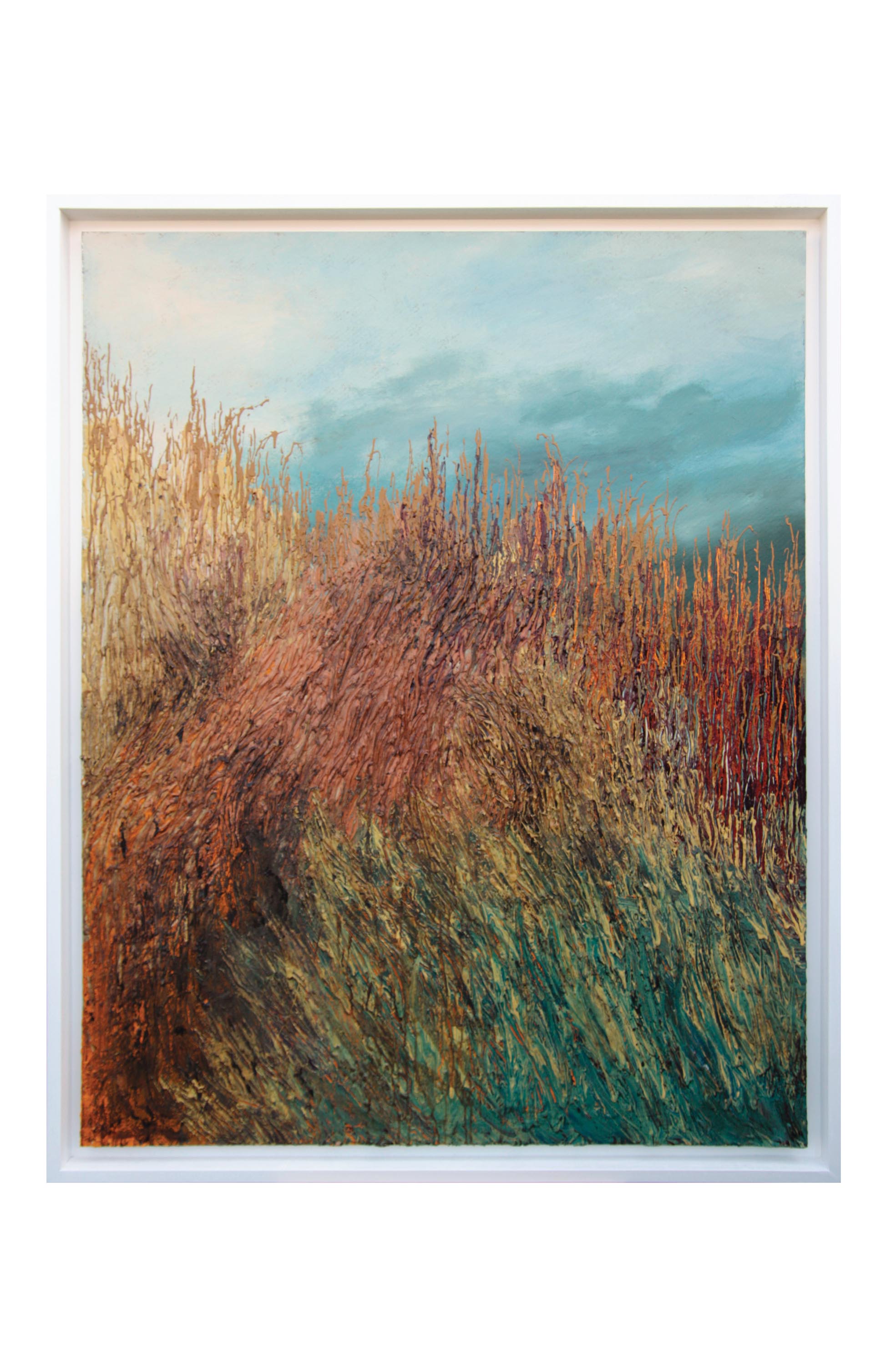 Fabrizio Sola - Intrecci e colori di ottobre